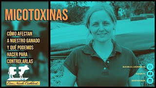 Micotoxinas Qué hacer para controlarlas  Veterinaria Al Día [upl. by Helman740]