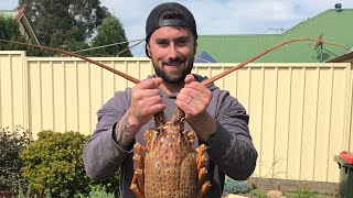 Where To Find Lobsters In Australia [upl. by Bigot916]