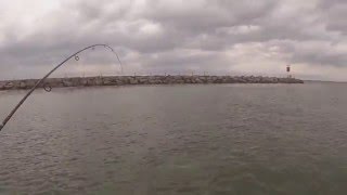 Spring Trolling For Lake Ontario Brown Trout [upl. by Ettenrahc]