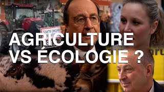 LAGRICULTURE pourquoi incompatible avec lécologie [upl. by Nica]