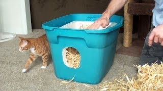 How to Make a Feral Cat Shelter [upl. by Staford710]