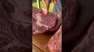 Mastering the Perfect Beef Cutting Techniques  BBQ Butcher NZ [upl. by Milla]