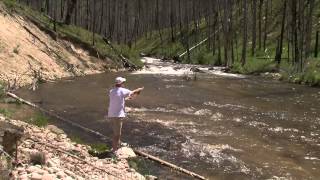 South Fork Salmon River Campground on the Boise National Forest in Idaho [upl. by Poppo]