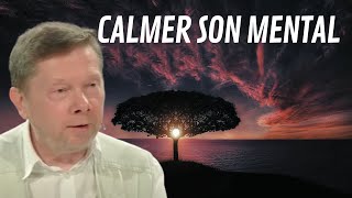 Comment se libérer du mental   Eckhart TOLLE [upl. by Howzell273]