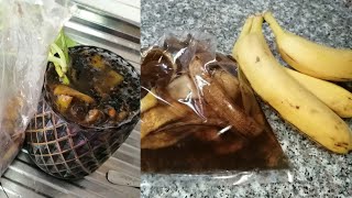 Easy and free fertilizer for any plants  Banana peel fertilizer [upl. by Elleneg]