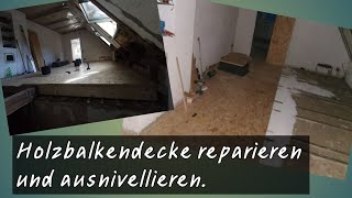 Erstmal alles raus und Zwischendecke reparieren [upl. by Ronacin]