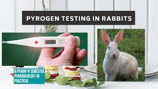 Test for Pyrogens Rabbit method [upl. by Cannell]