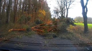 Sturm legt Baum im Bocholter Stadtwald quer auf Strasse [upl. by Graeme]