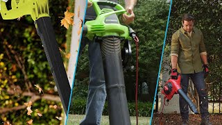 Top 6 Corded Leaf Blower in 2024 Buyers Guide [upl. by Lorilyn]