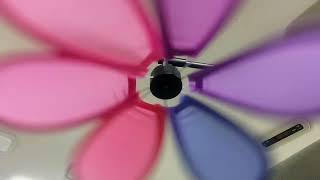 My pinwheel ceiling fan spinning for 3 minutes straight [upl. by Deehahs]