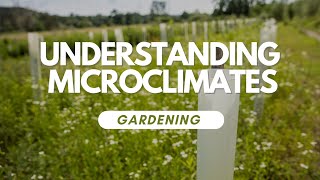 Understanding Microclimates In Your Garden [upl. by Ycam]