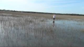 Pawleys Island Fishing Guide [upl. by Streetman]