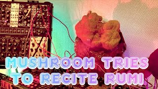 Mushroom Attempts To Recite Rumi 8 Minutes Of Modular Synth On Lions Mane [upl. by Enait]