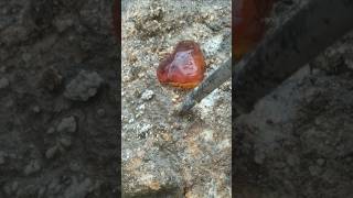 Natural Gem Digging Discover How to Find Precious Stones crystals gemstoneadventures shorts [upl. by Yakcm]