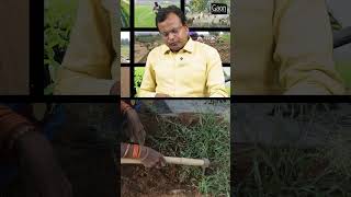 Nematode Control  सूत्रकृमि से बचाव  Gaon Connection [upl. by Ecinev]