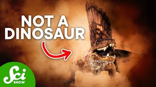 5 Famous Dinosaurs That Arent Actually Dinosaurs [upl. by Sikras]