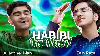 Habibi Ya Nabi  English Nasheed  Rabi Ul Awal Naat 2024  Milad 2024 [upl. by Kimberley]