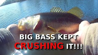 This Lure CHANGES EVERYTHING About Winter Bass Fishing [upl. by Nnylyak]