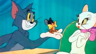 Tom and Jerry  Episode 55  Casanova Cat 1951 [upl. by Inacana868]