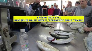 2 NİSAN 2024 SALI MAVİŞEHİR BALIK MEZATI PERAKENDE KİLO İLEİHALENİN TAMAMI [upl. by Janela]