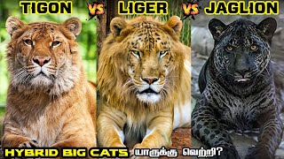 Liger vs Tigon vs Jaglion in Tamil  லைகர் vs டைகான் vs ஜாக்லையான்  Savage Empire [upl. by Hcardahs]