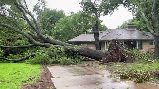 83 MPH Winds in Plano TX 52824 [upl. by Ferdinande]