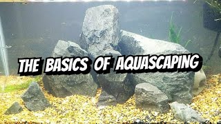 Aquascaping Basics Cheap Aquascaping Tips Can You Breed Shrimp amp Fish In An Aquascaped Tank [upl. by Eilasor866]