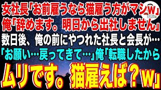 【スカッと】女社長「お前雇うくらいなら猫雇ったほうがマシw」俺「じゃあ辞めます。明日から出社しません」数日後、俺の前にやつれた社長と会長が「お願い…戻ってきて…」俺「転職したのでムリです。」 [upl. by Voltmer664]