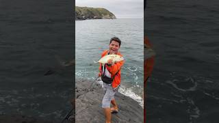 Beno é o xerelete SERÁ QUE FICOU ALEGRE 😅😅 shorts viral pesca fishing pescaria [upl. by Shanon]