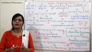 Class 06 Acetate Pathway Part 03  Mevalonic acid Pathway  Mevalonate Pathway Steps amp Reaction [upl. by Rentsch]