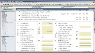 ProSeries Professional Tax Software Tracking Estimated Entries [upl. by Hirza]