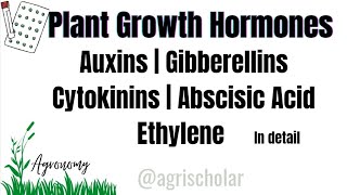 Plant Growth Hormones  Auxins  Gibberellins  Cytokinins  Abscisic acid  Ethylene  Agronomy [upl. by Ahpla]