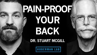 Dr Stuart McGill Build a Strong PainProof Back [upl. by Etnovahs535]