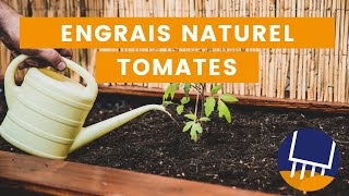 Top 3 des engrais naturels pour vos tomates [upl. by Francoise]