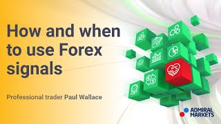 How and when to use Forex signals  Trading Spotlight [upl. by Yttocs]