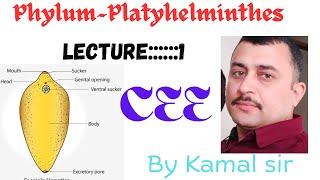 Phylum Platyhelminthes  Cee zoology by Kamal Nepal sir with best note [upl. by Ognimod807]