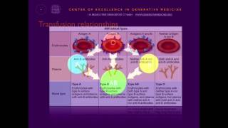 Personalized Nutrition What Your Blood Type Means for Your Health with Dr Peter D’Adamo ND 7 28 1 [upl. by Ayna]