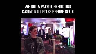 We got a parrot predicting roulettes before GTA 6 [upl. by Dlaregztif347]