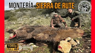 MONTERIA SIERRA DE RUTE 2024  SOCIEDAD DE CAZADORES DE RUTE 227 [upl. by Ainafetse]