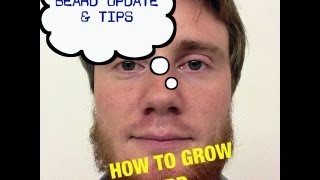 How To Grow A Beard Beard Tips amp Advice [upl. by Salter]