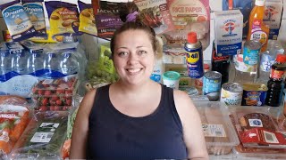 Aldi amp Woolworths Weekly Grocery Hauls [upl. by December]