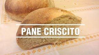 Ricetta Pane fatto in casa con criscito [upl. by Ainelec328]