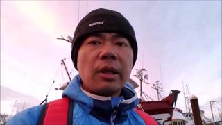 Catching dungeness crabs off a dock [upl. by Dukey927]