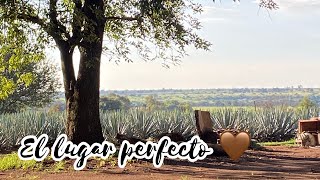 Nos fuimos a Arandas JaliscoConocí el lugar perfecto para vivir 🤎TravelVlog💫 [upl. by Mcdonald162]