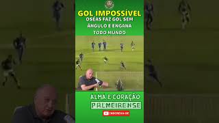 FELIPÃO FICOU PISTOLA NO GOL DO TÍTULO [upl. by Busch]