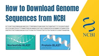 how to download genome sequences from NCBI [upl. by Naliorf781]