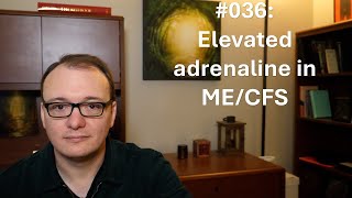 036  Elevated adrenaline in MECFS [upl. by Nylahsoj954]