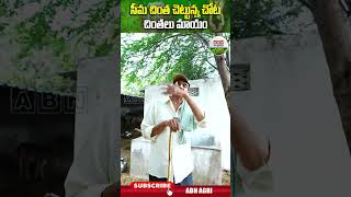 ఎనకట ఎక్కడబడితే అక్కడుండేవి ఈ చెట్లు చాలా ప్రొటీన్స్ ఉండే కాయలు దీనివి   ABN Agri shorts [upl. by Sherline839]