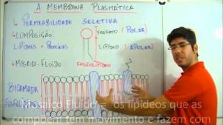 AULA BIOLOGIA FUNDAMENTOS DE BIOLOGIA CELULAR FEV 13 PROF FELIPE JARDIM [upl. by Howlan]