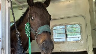 Bouckaert Equestrian Modified division XC GoPro [upl. by Gabe99]